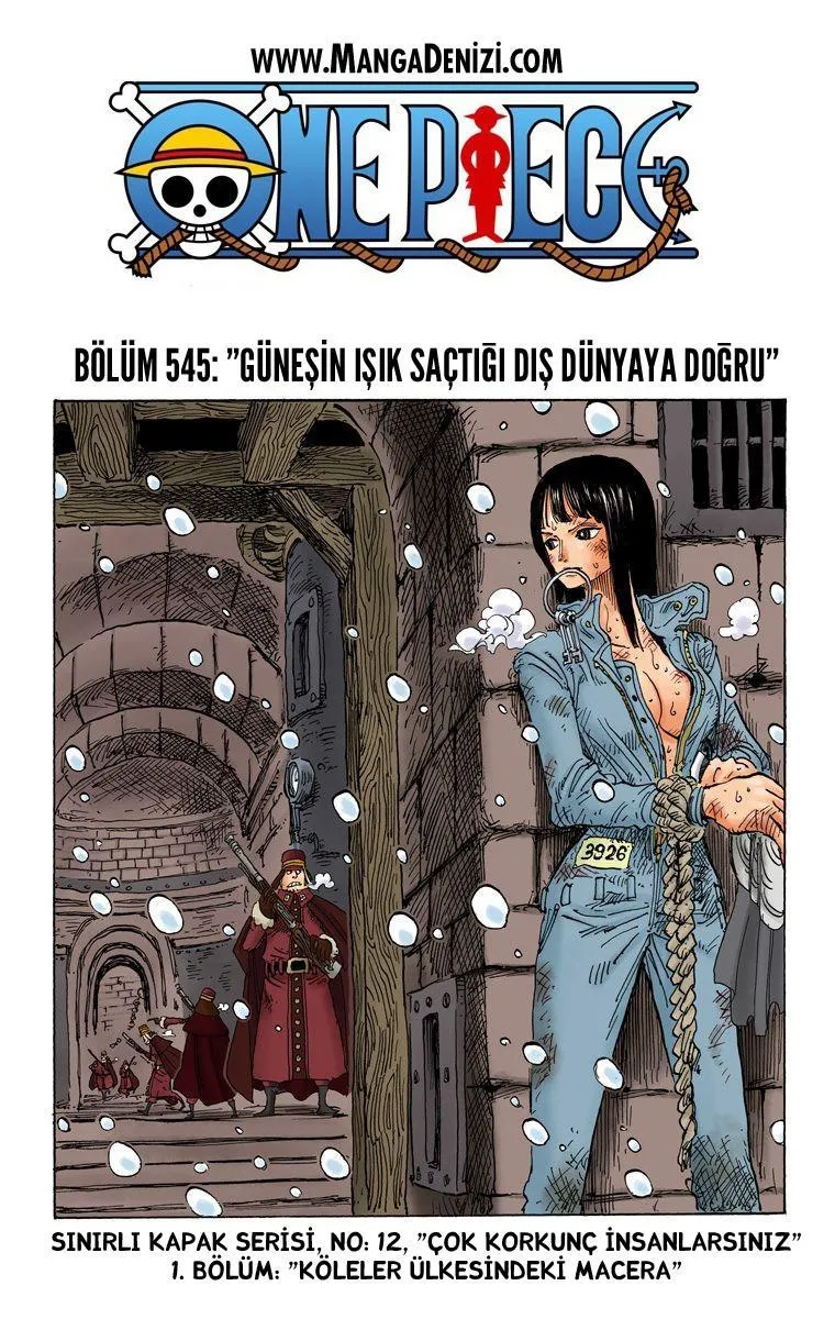 One Piece [Renkli] - Sayfa 2