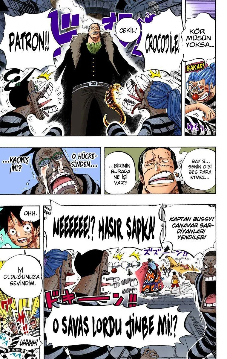 One Piece [Renkli] - Sayfa 15