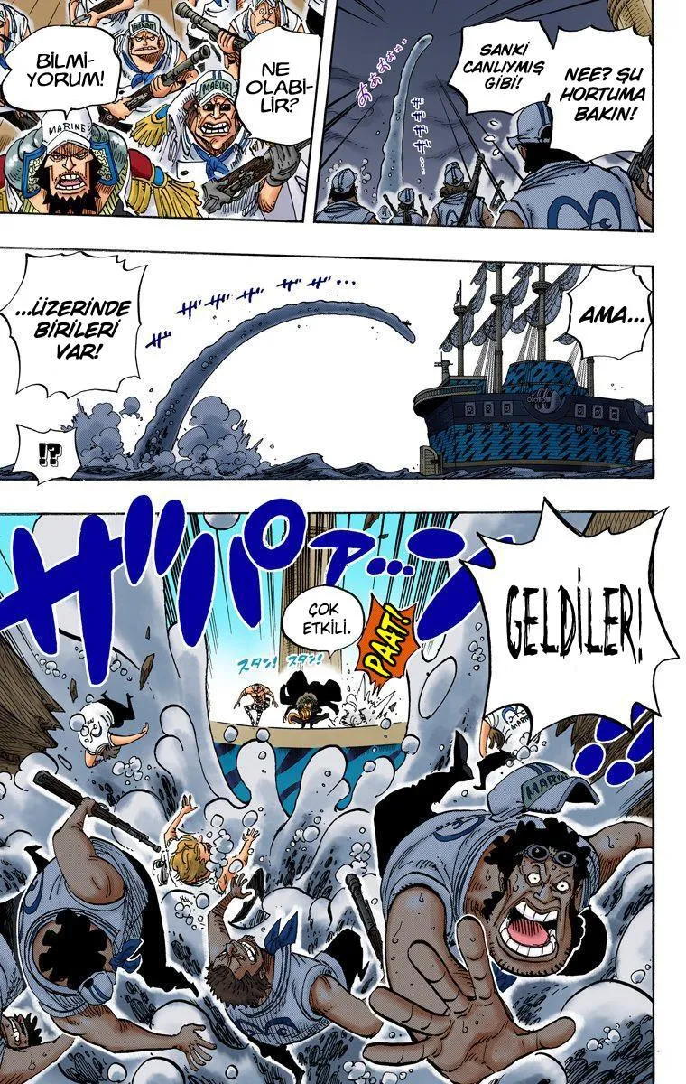 One Piece [Renkli] - Sayfa 15