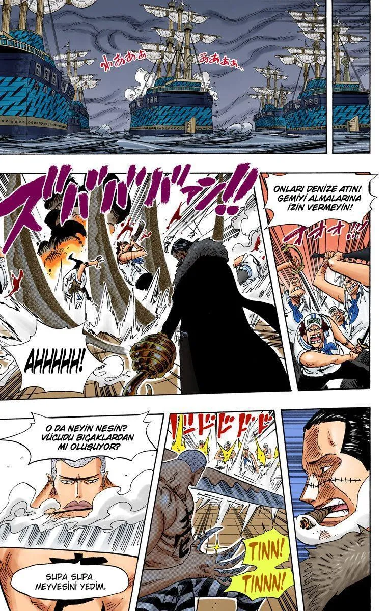 One Piece [Renkli] - Sayfa 6