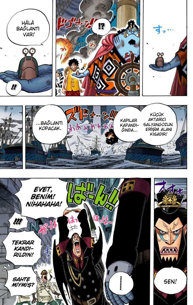One Piece [Renkli] - Sayfa 13