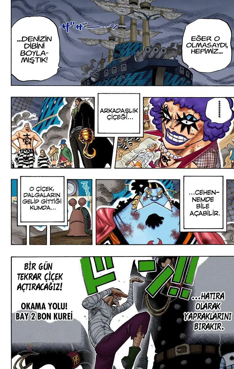 One Piece [Renkli] - Sayfa 18