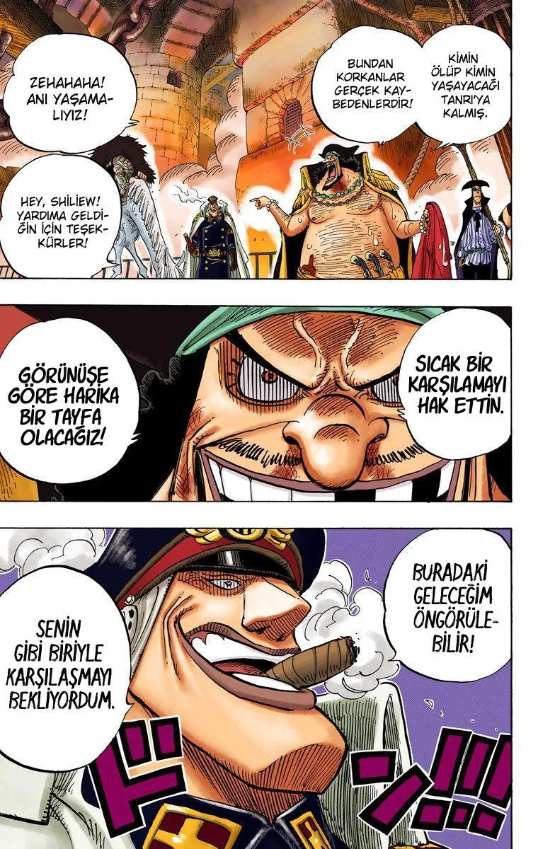 One Piece [Renkli] - Sayfa 4