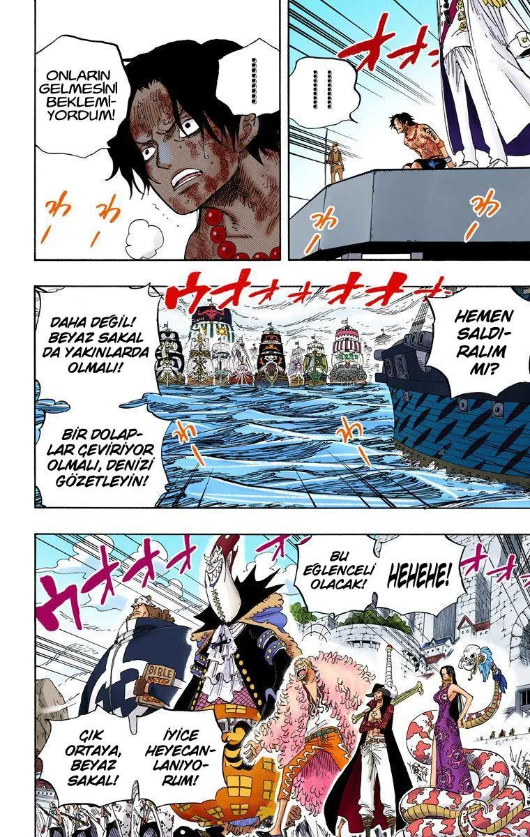 One Piece [Renkli] - Sayfa 14