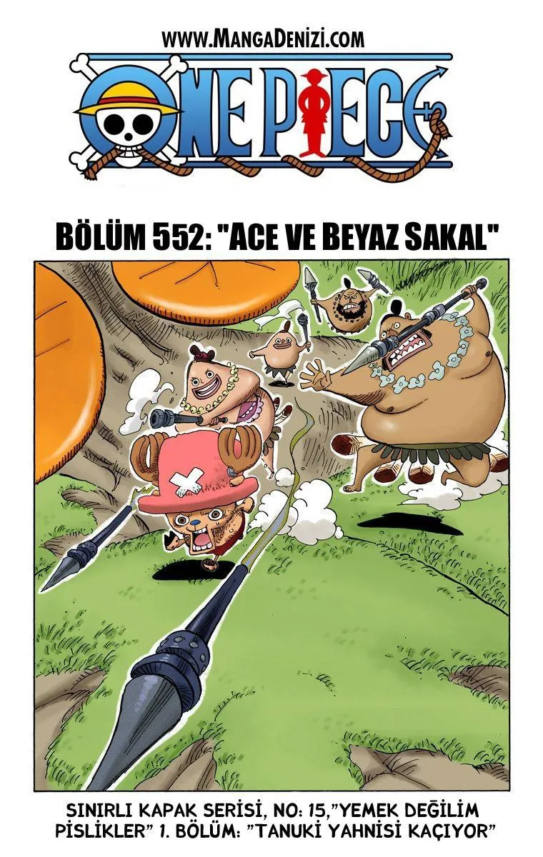 One Piece [Renkli] - Sayfa 2