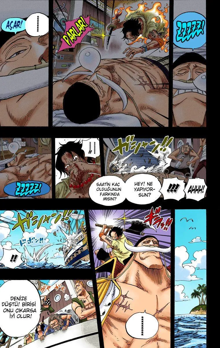 One Piece [Renkli] - Sayfa 10