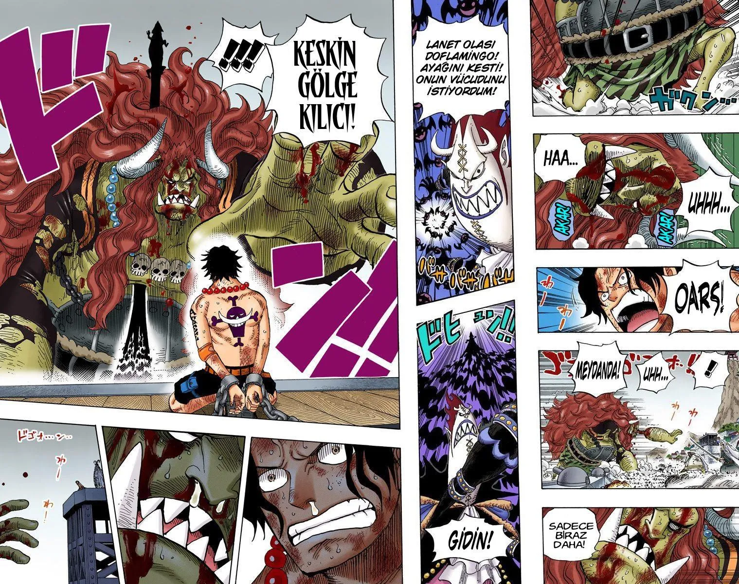 One Piece [Renkli] - Bölüm 0555 - Sayfa 12