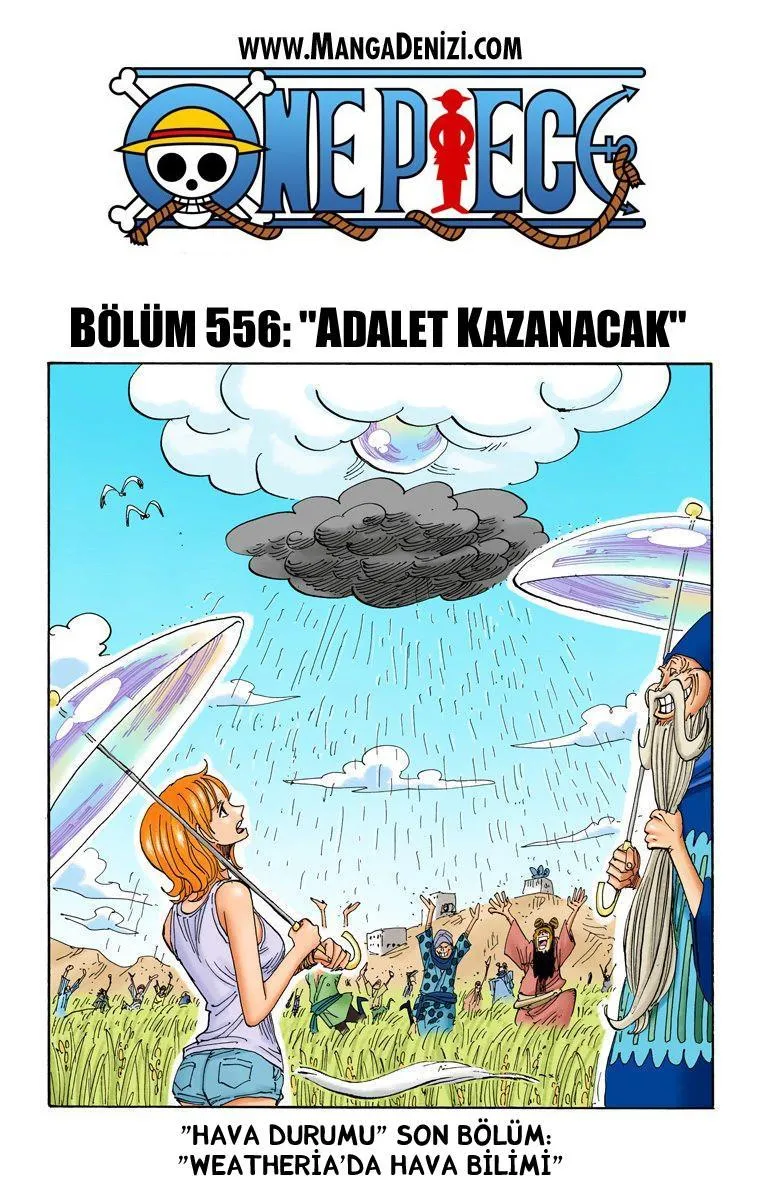 One Piece [Renkli] - Sayfa 2