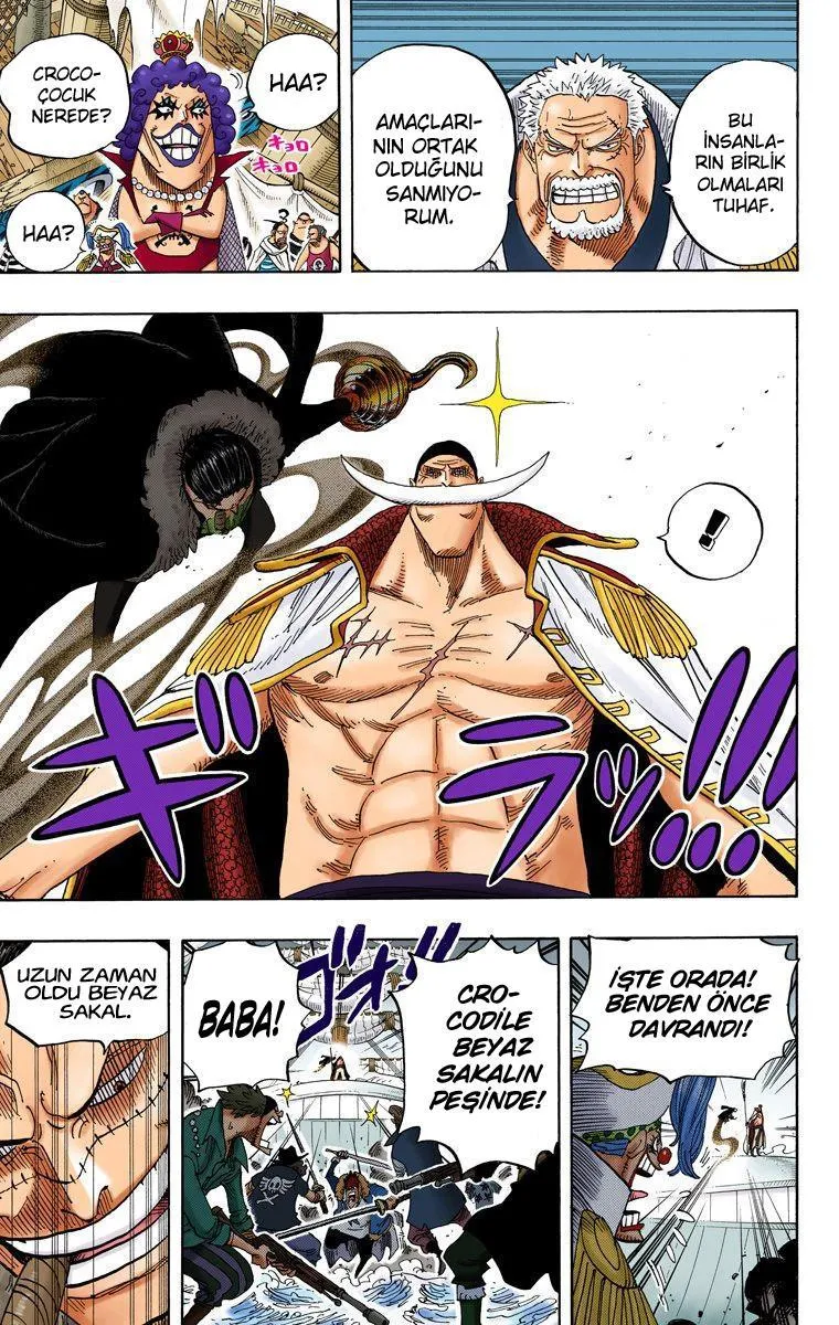 One Piece [Renkli] - Sayfa 13