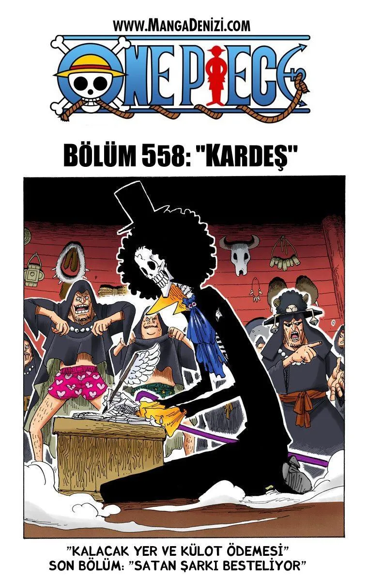 One Piece [Renkli] - Sayfa 2