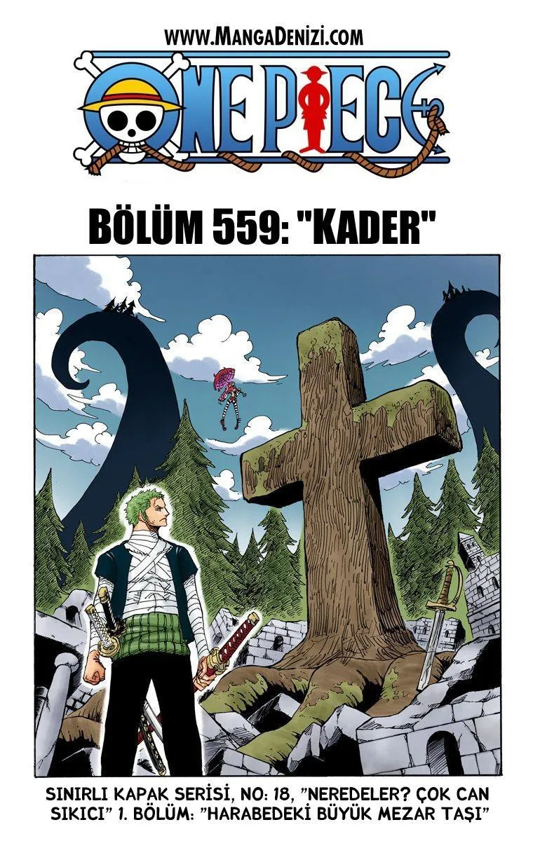 One Piece [Renkli] - Sayfa 2