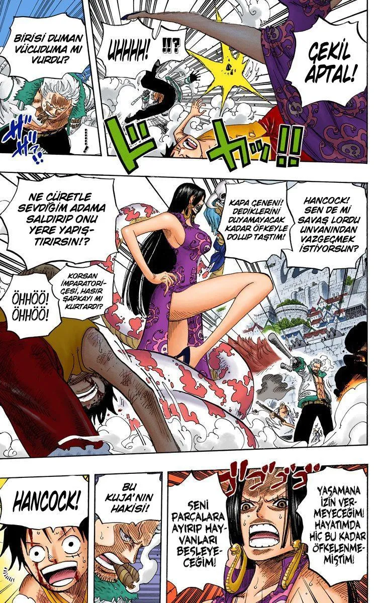 One Piece [Renkli] - Sayfa 14