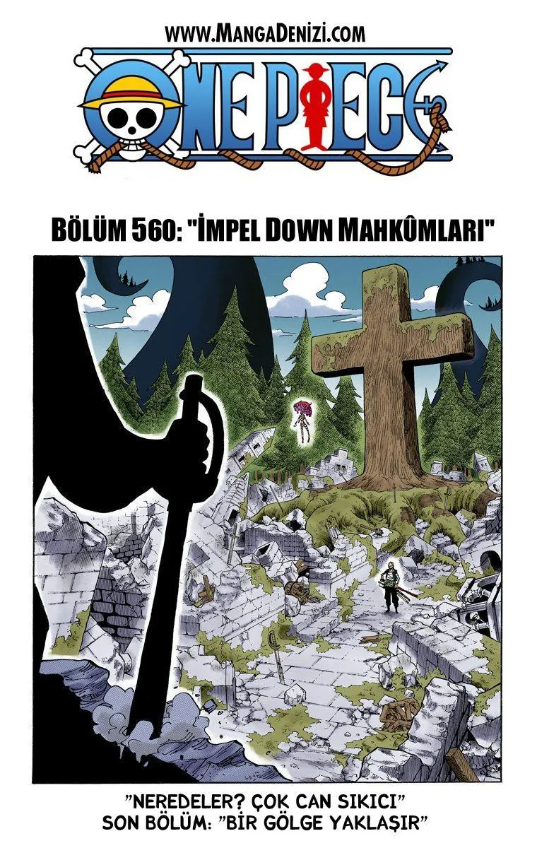 One Piece [Renkli] - Sayfa 2