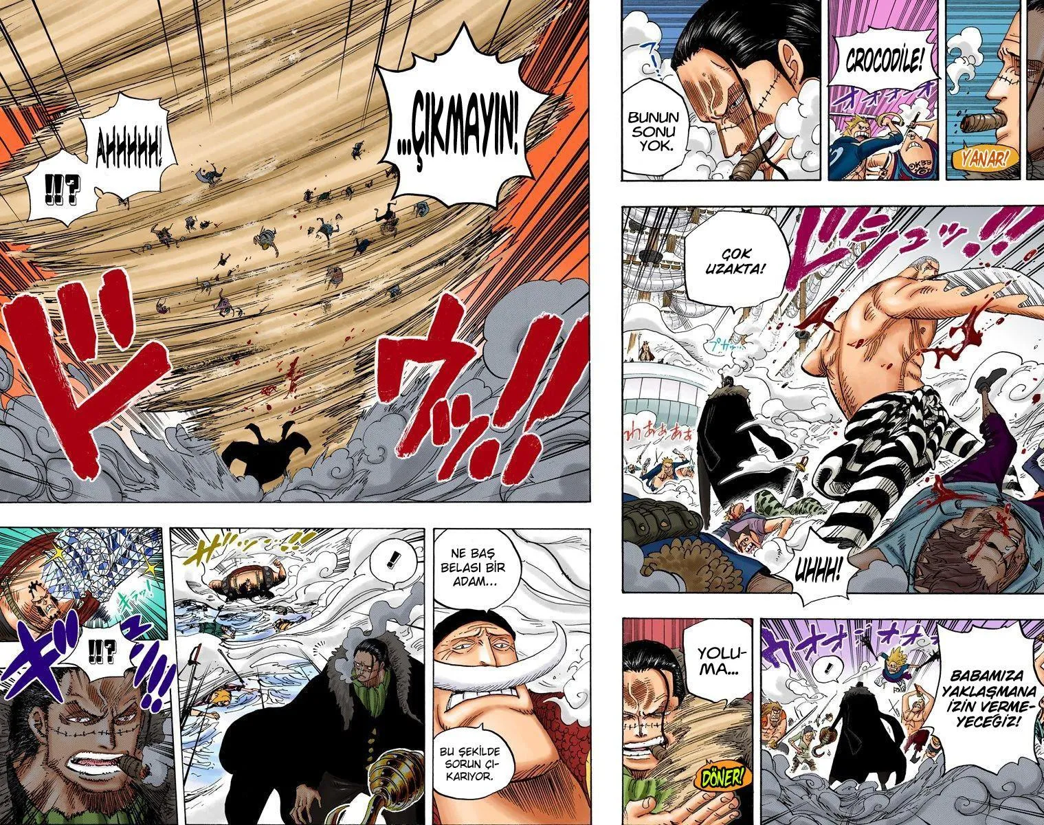 One Piece [Renkli] - Sayfa 12