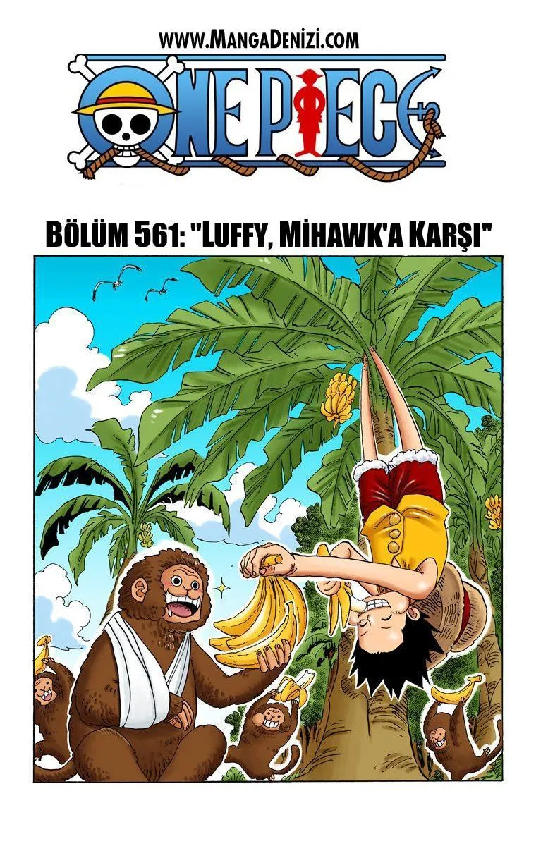 One Piece [Renkli] - Sayfa 2