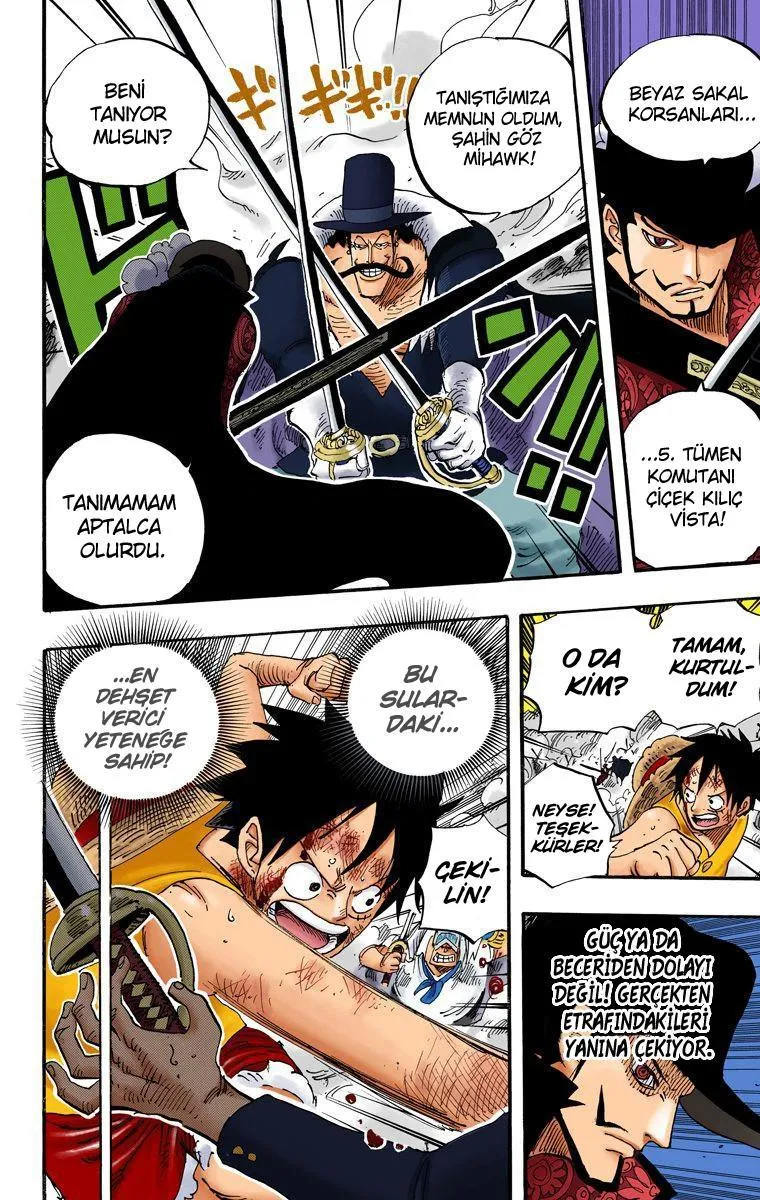 One Piece [Renkli] - Sayfa 12