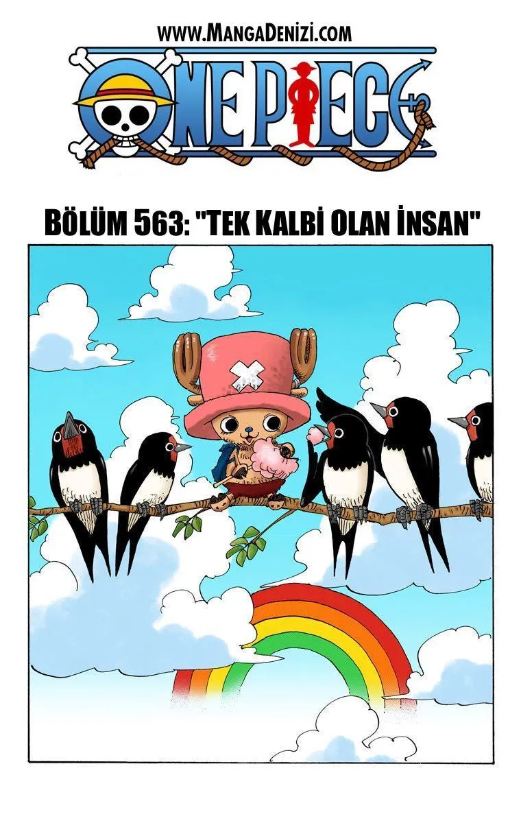 One Piece [Renkli] - Sayfa 3