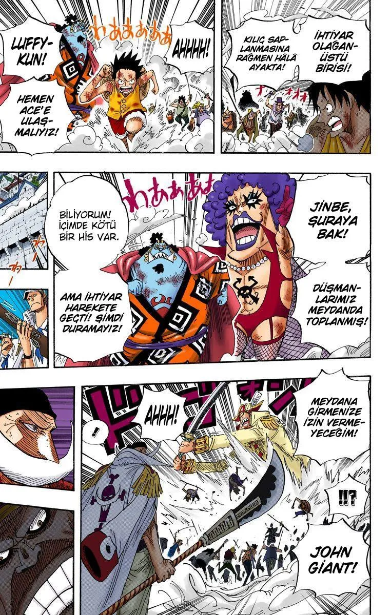 One Piece [Renkli] - Sayfa 5