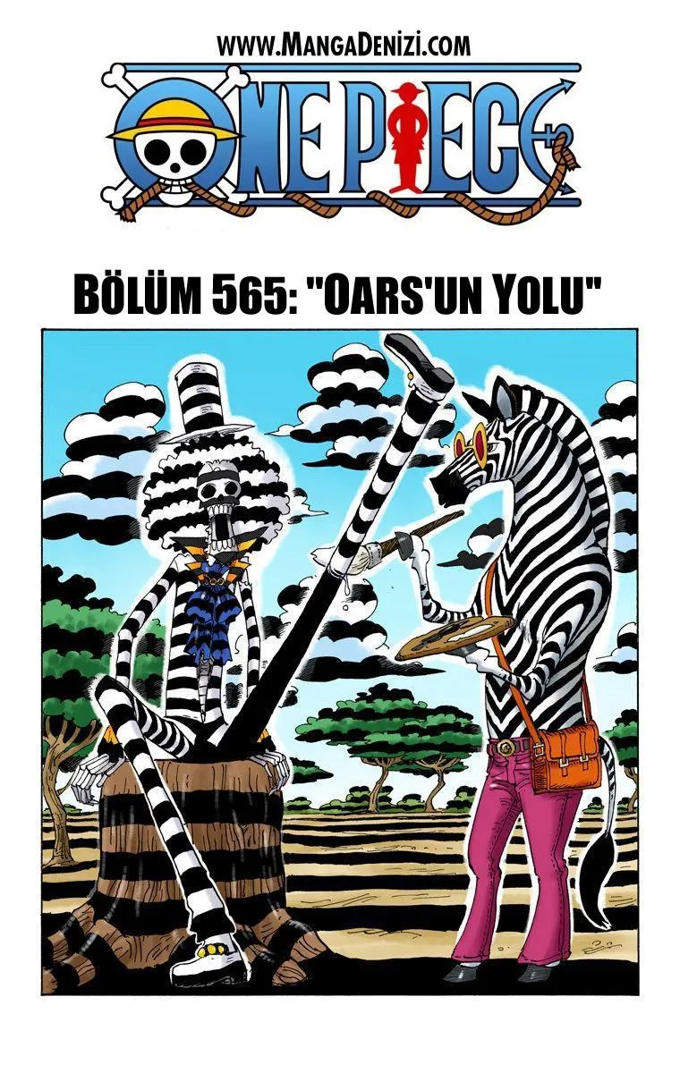 One Piece [Renkli] - Sayfa 2