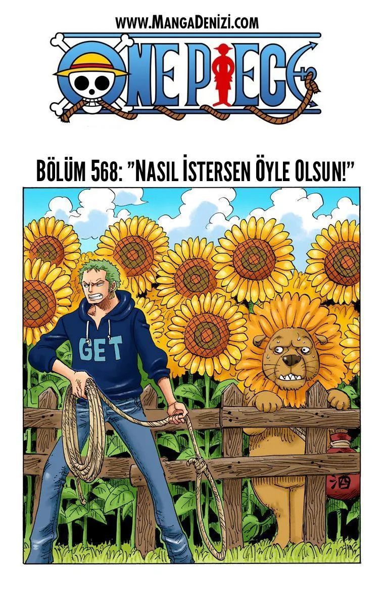 One Piece [Renkli] - Sayfa 2