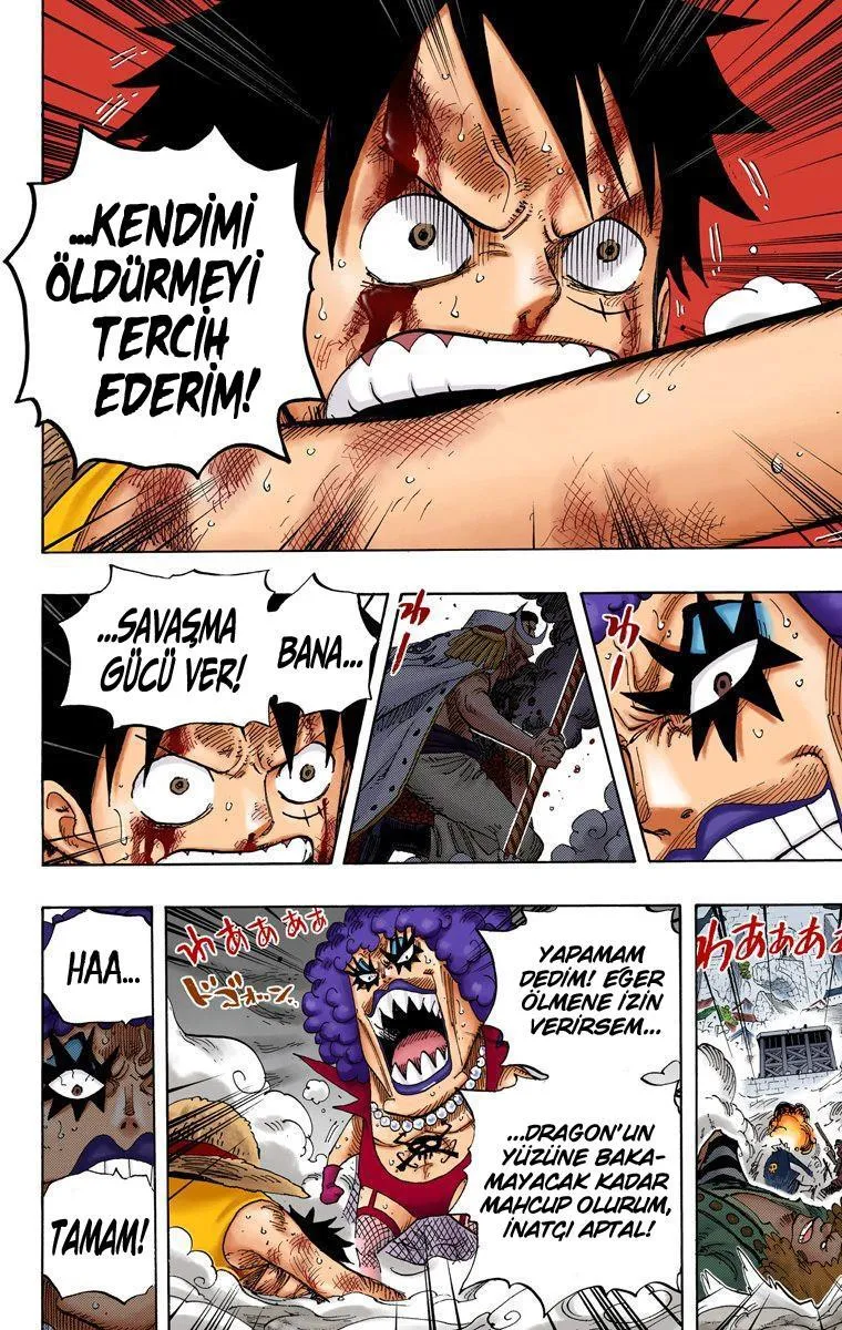 One Piece [Renkli] - Sayfa 13