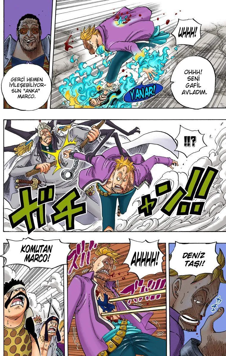 One Piece [Renkli] - Sayfa 6