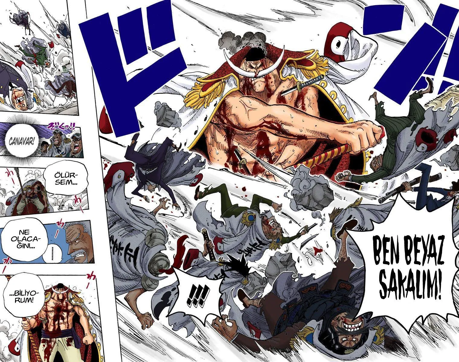 One Piece [Renkli] - Sayfa 9