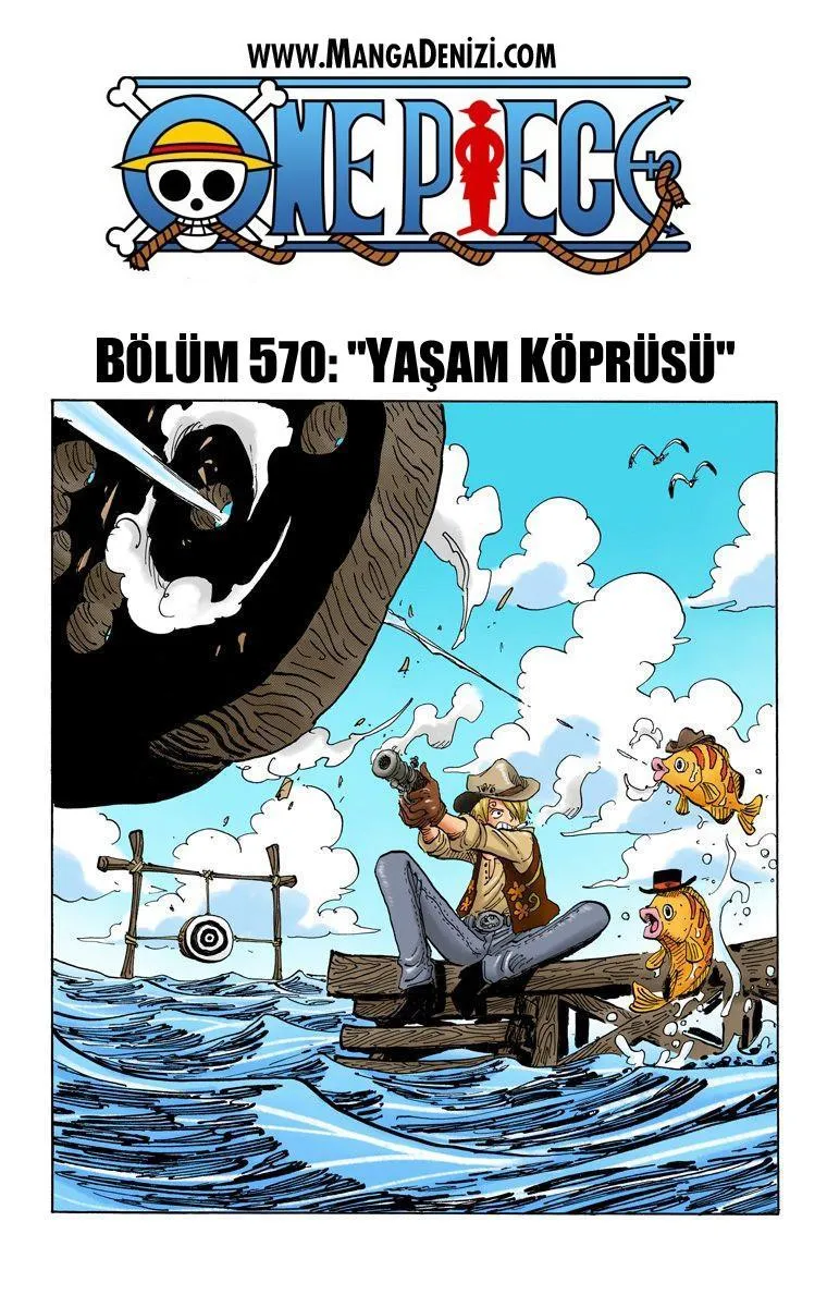 One Piece [Renkli] - Sayfa 2