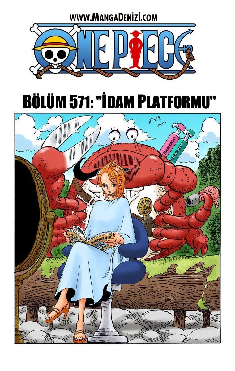 One Piece [Renkli] - Sayfa 2