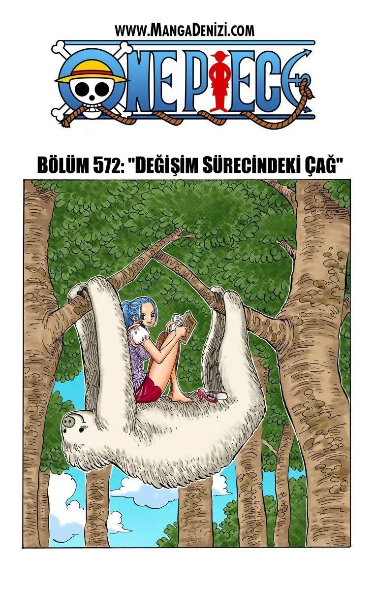 One Piece [Renkli] - Sayfa 2