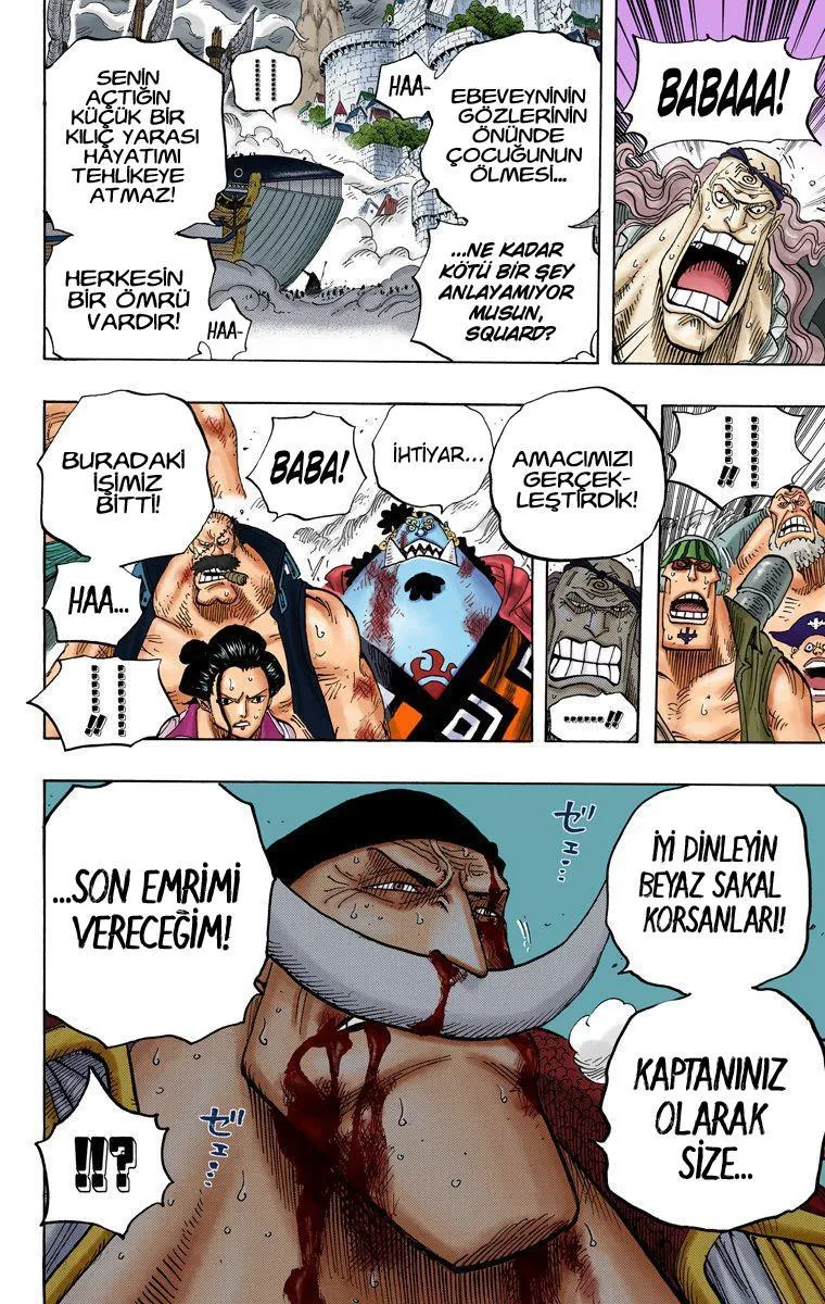 One Piece [Renkli] - Sayfa 11