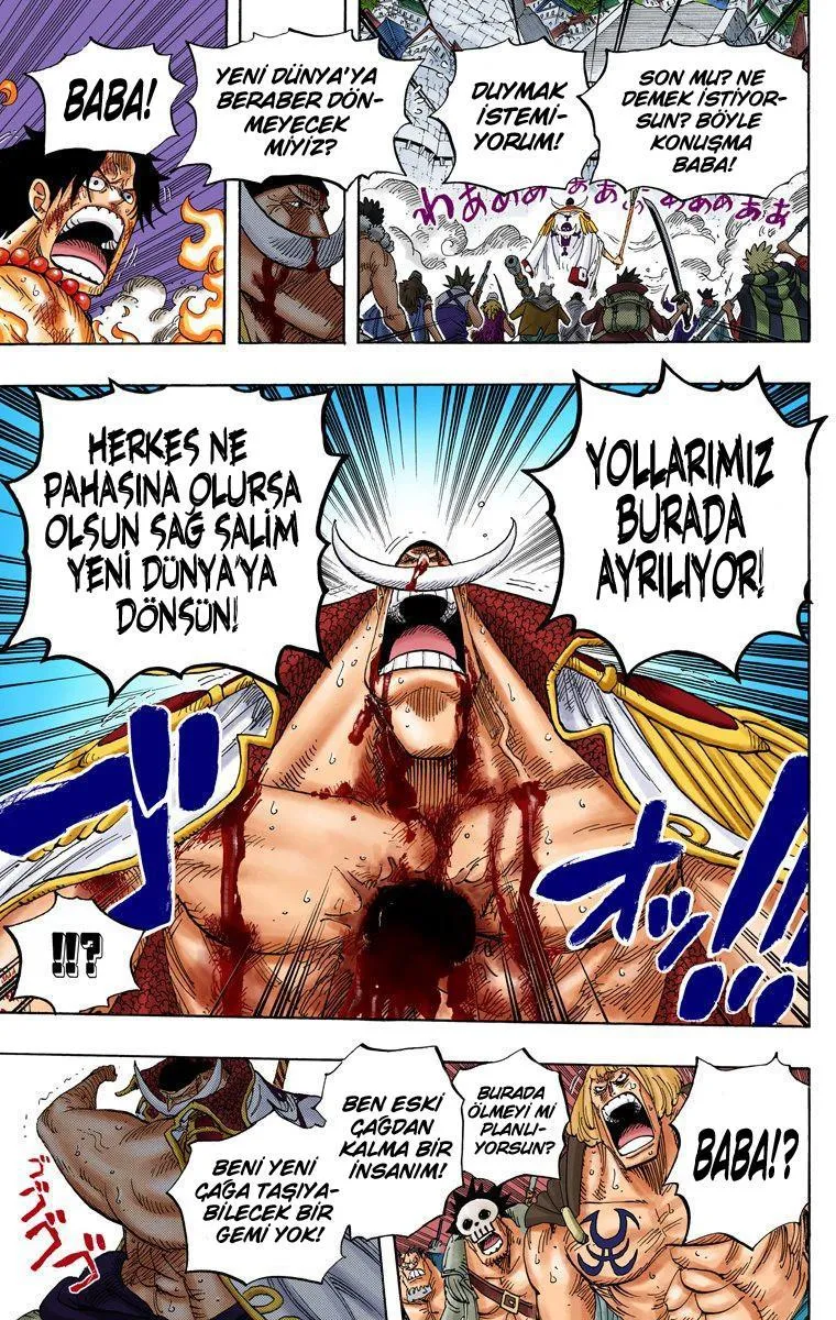 One Piece [Renkli] - Sayfa 12