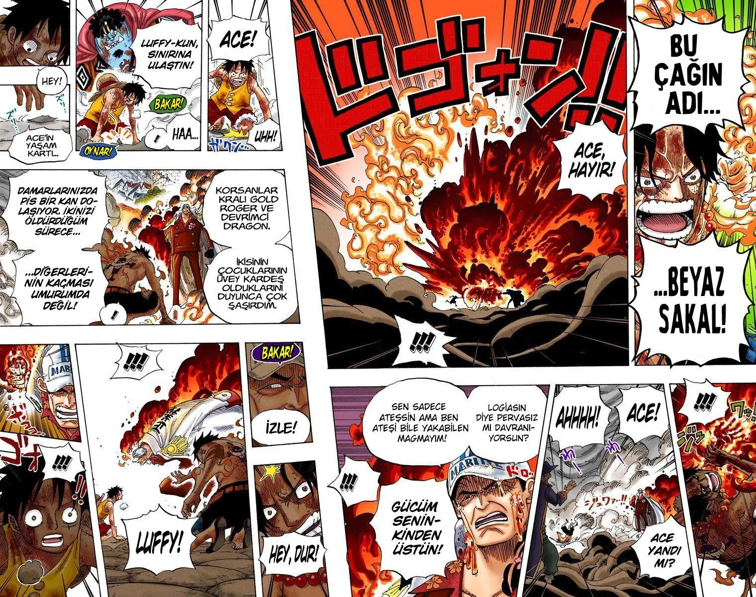 One Piece [Renkli] - Sayfa 14