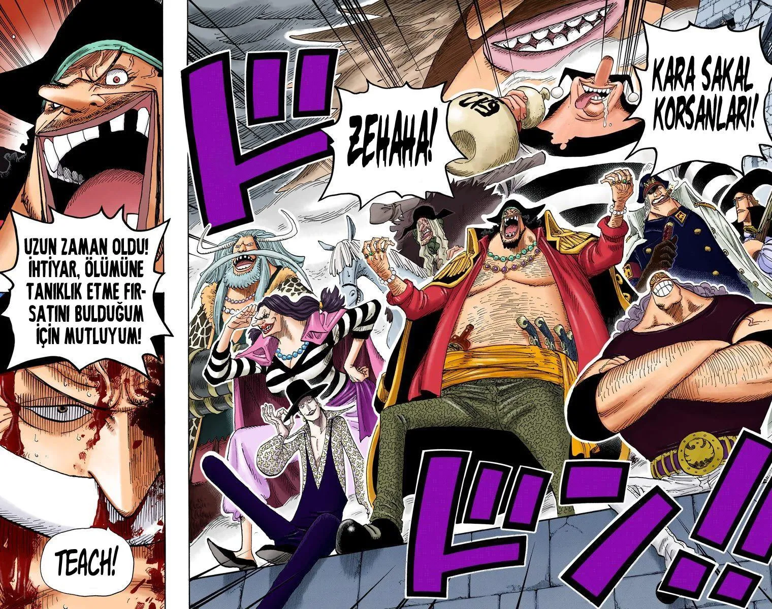 One Piece [Renkli] - Sayfa 11