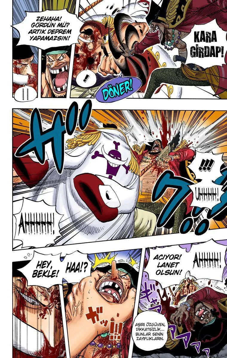 One Piece [Renkli] - Sayfa 8