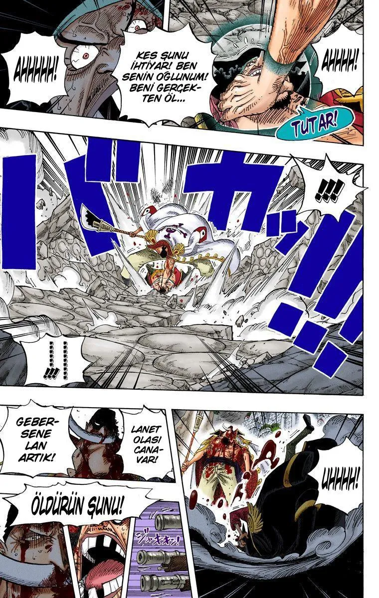 One Piece [Renkli] - Sayfa 9