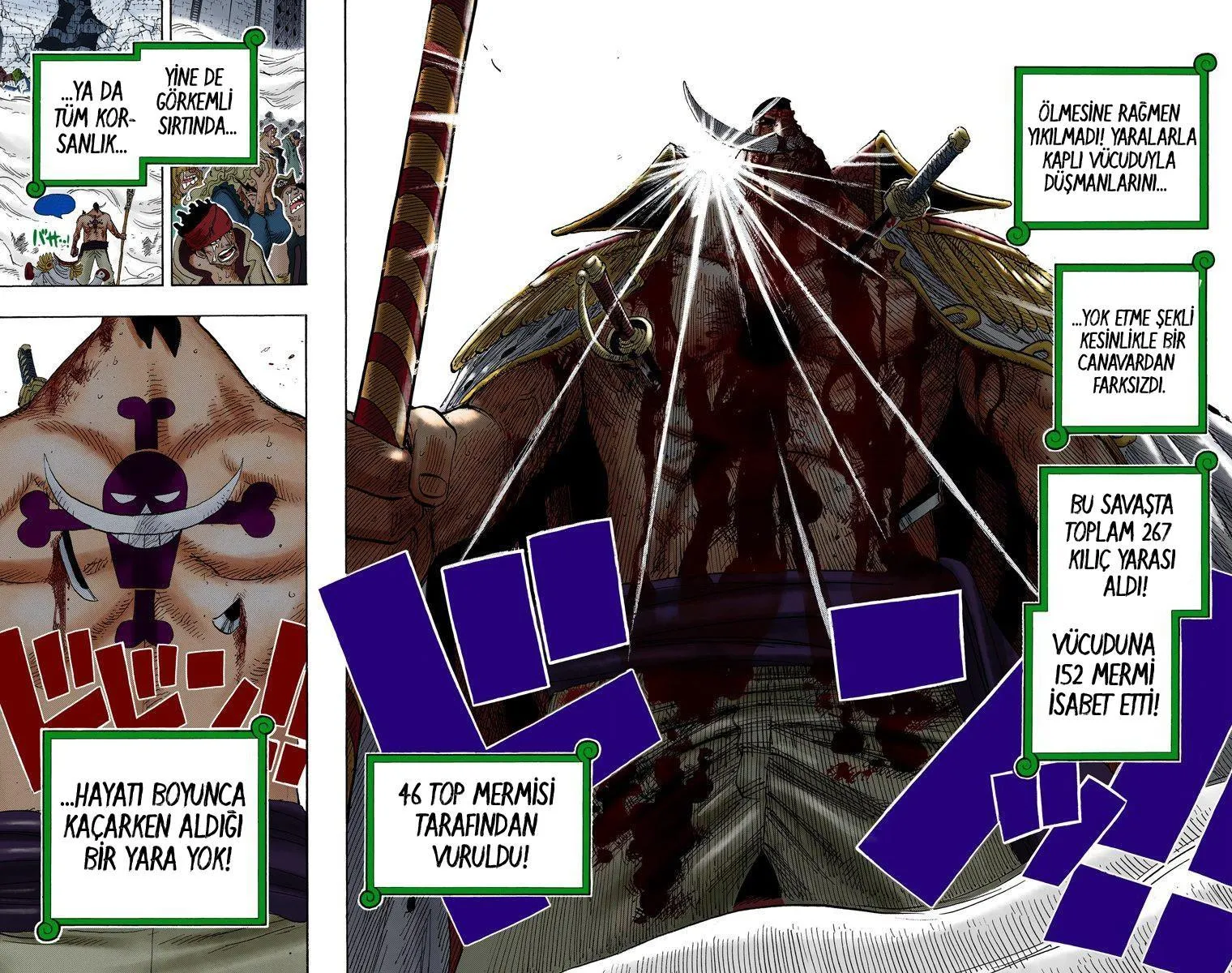 One Piece [Renkli] - Sayfa 14