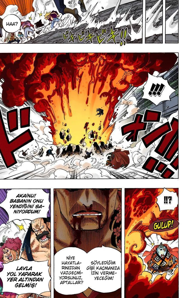 One Piece [Renkli] - Sayfa 10