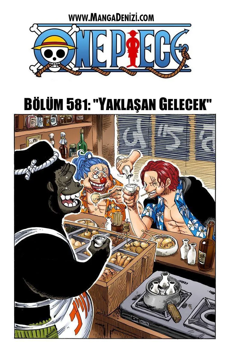 One Piece [Renkli] - Sayfa 2