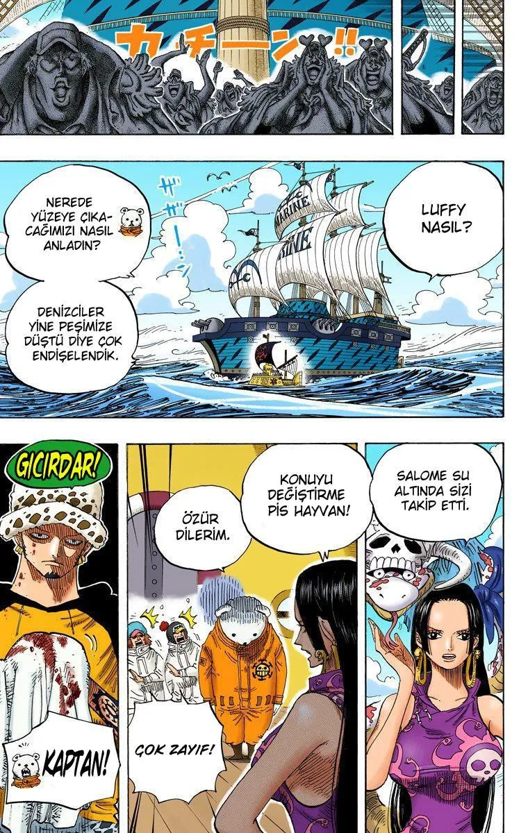 One Piece [Renkli] - Sayfa 10