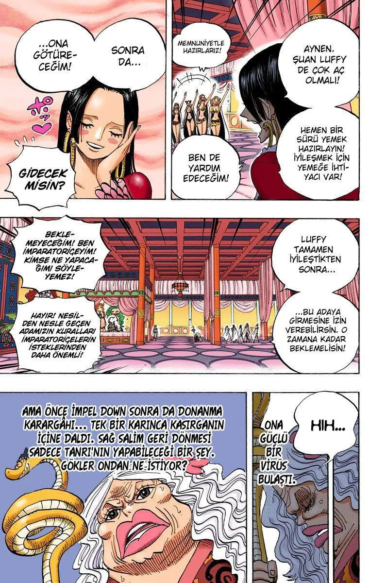 One Piece [Renkli] - Sayfa 7