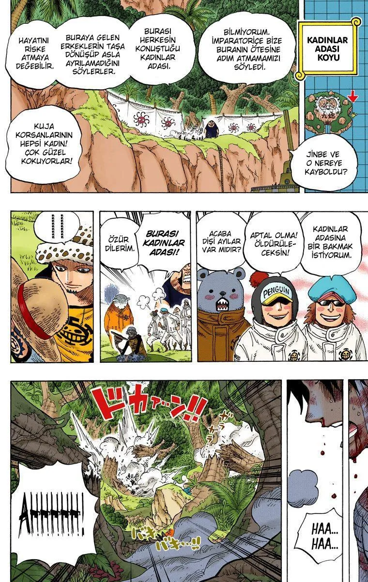 One Piece [Renkli] - Sayfa 8