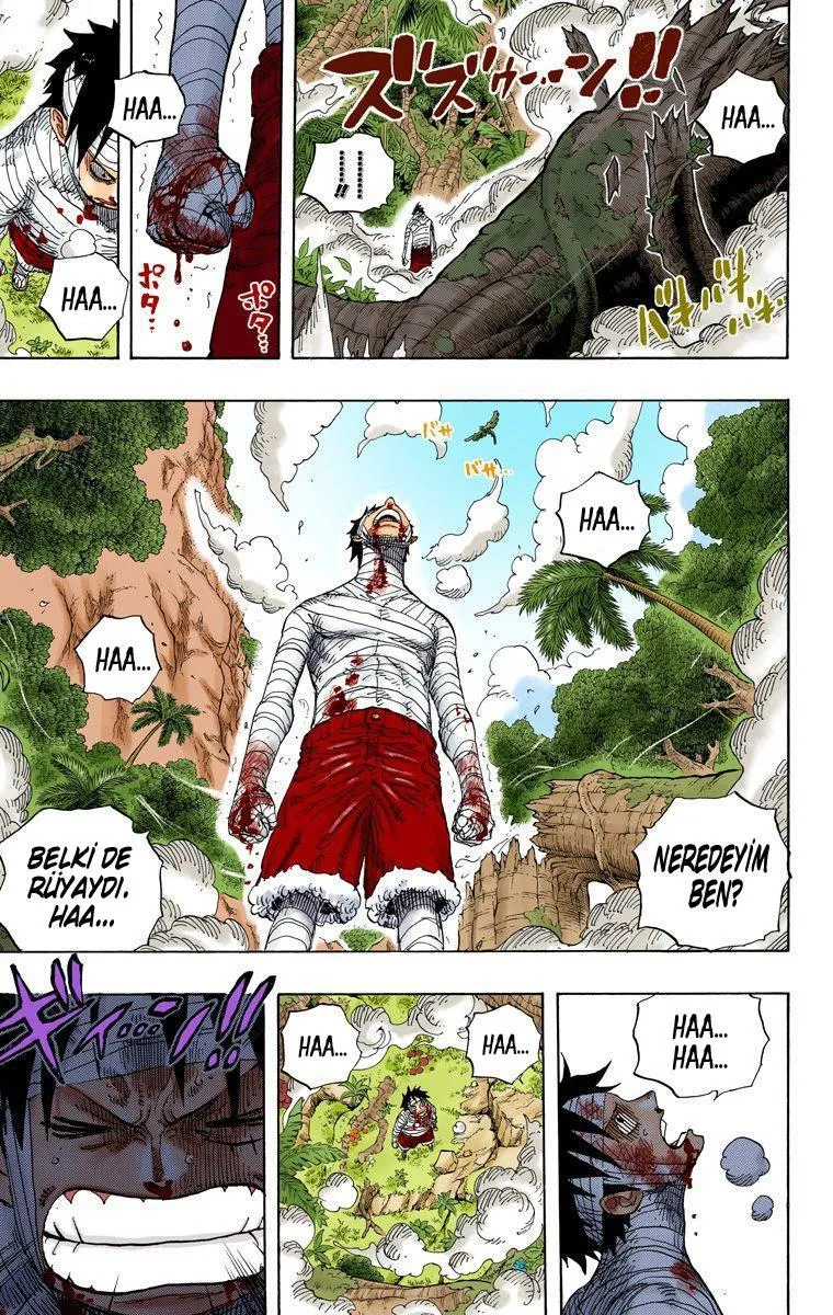 One Piece [Renkli] - Sayfa 9