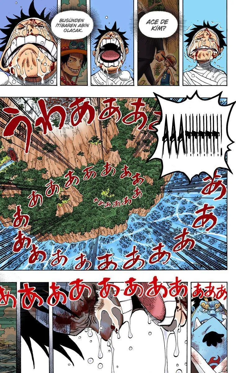 One Piece [Renkli] - Sayfa 15