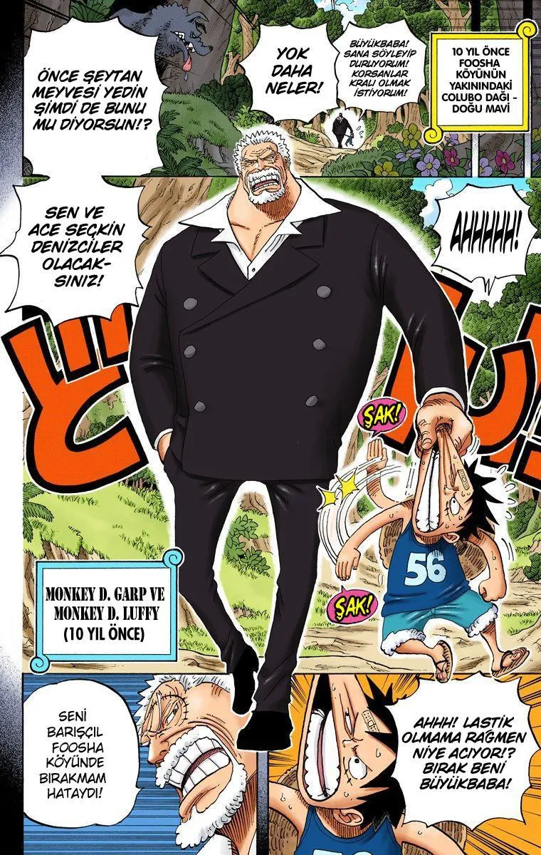 One Piece [Renkli] - Sayfa 16