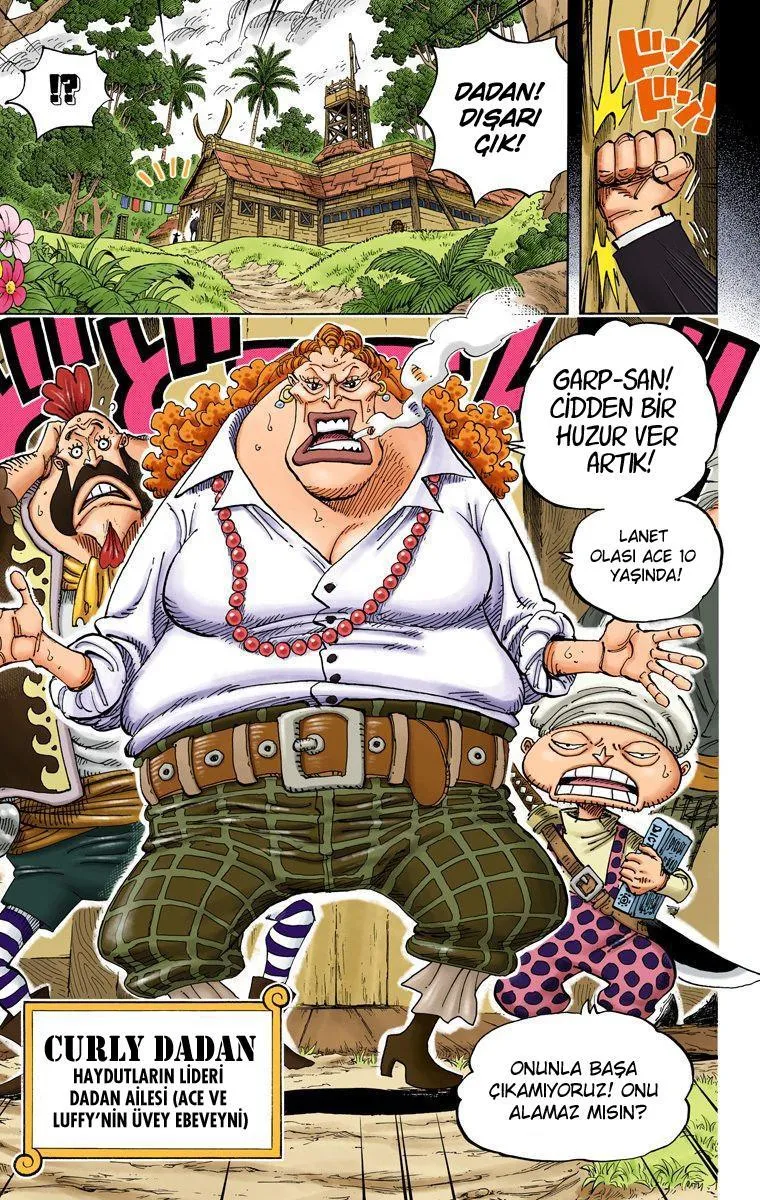 One Piece [Renkli] - Sayfa 17