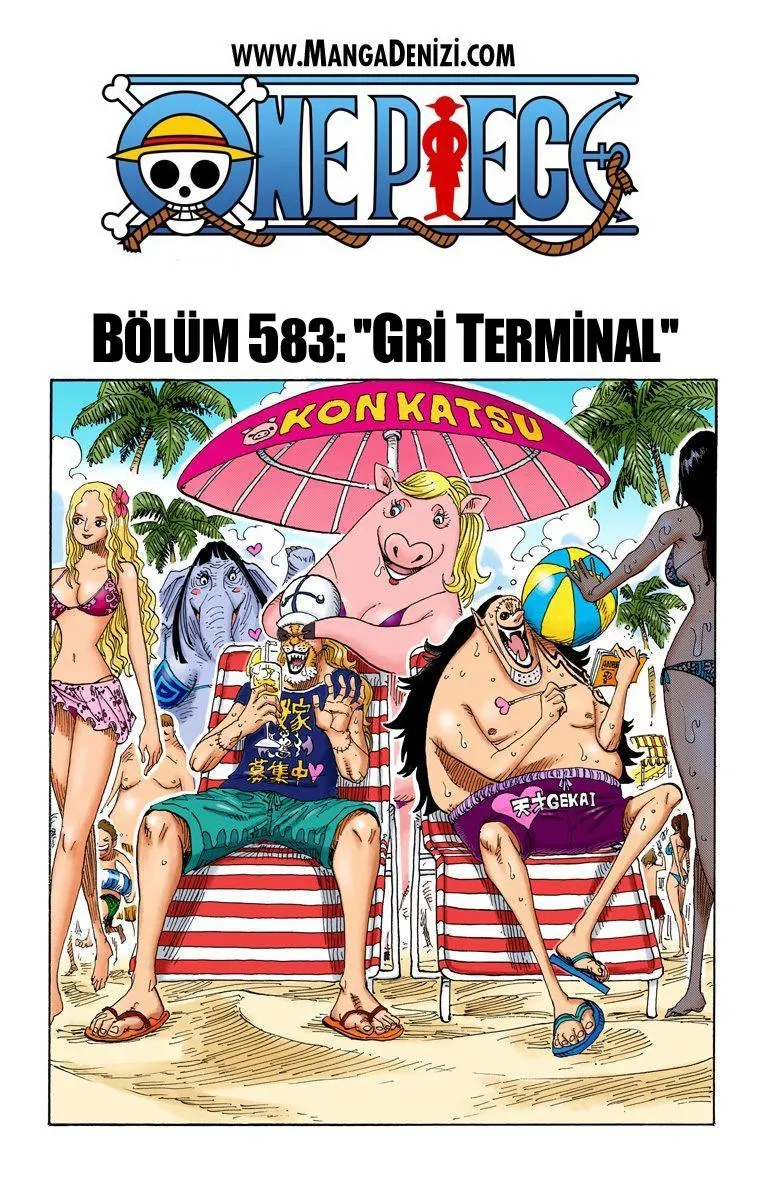 One Piece [Renkli] - Sayfa 2