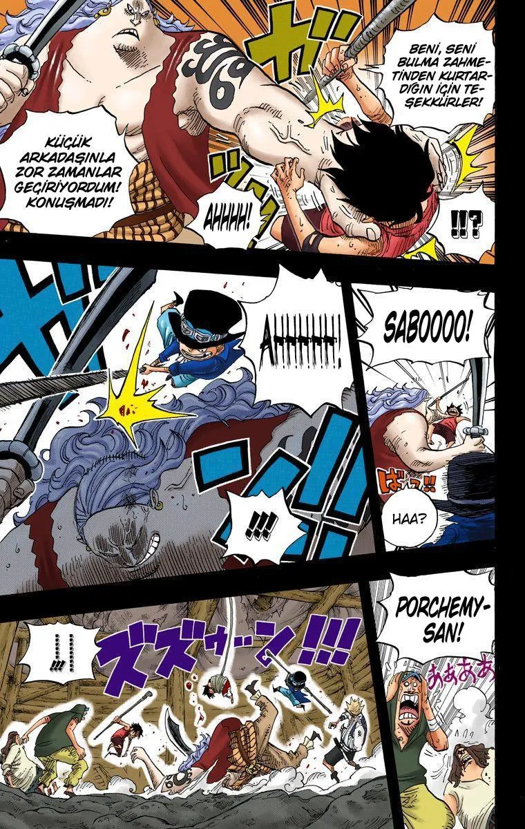 One Piece [Renkli] - Sayfa 10