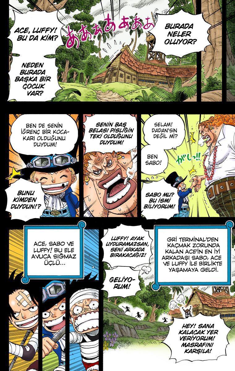 One Piece [Renkli] mangasının 0584 bölümünün 17. sayfasını okuyorsunuz.