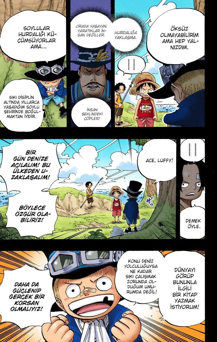 One Piece [Renkli] - Sayfa 12